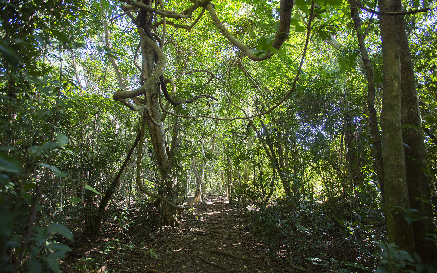 Castellow Hammock Park & Nature Center Greater Miami & Miami Beach