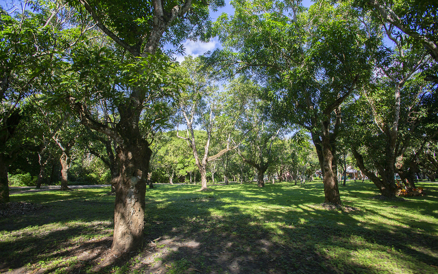 Deering Estate Grand Miami et Miami Beach