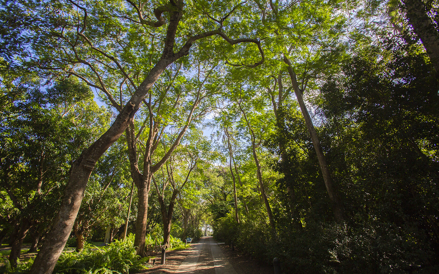 Deering Estate Greater Miami & Miami Beach