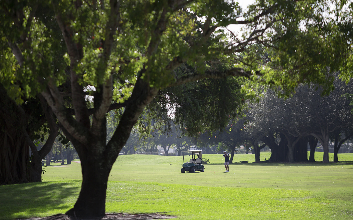 Greynolds Golf Course Greater Miami & Miami Beach