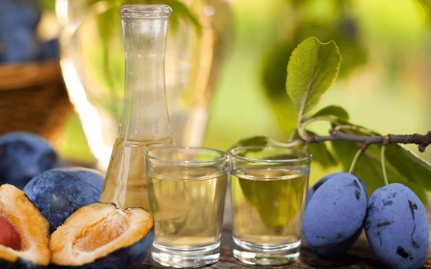 Rakija Lounge Greater Miami & Miami Beach