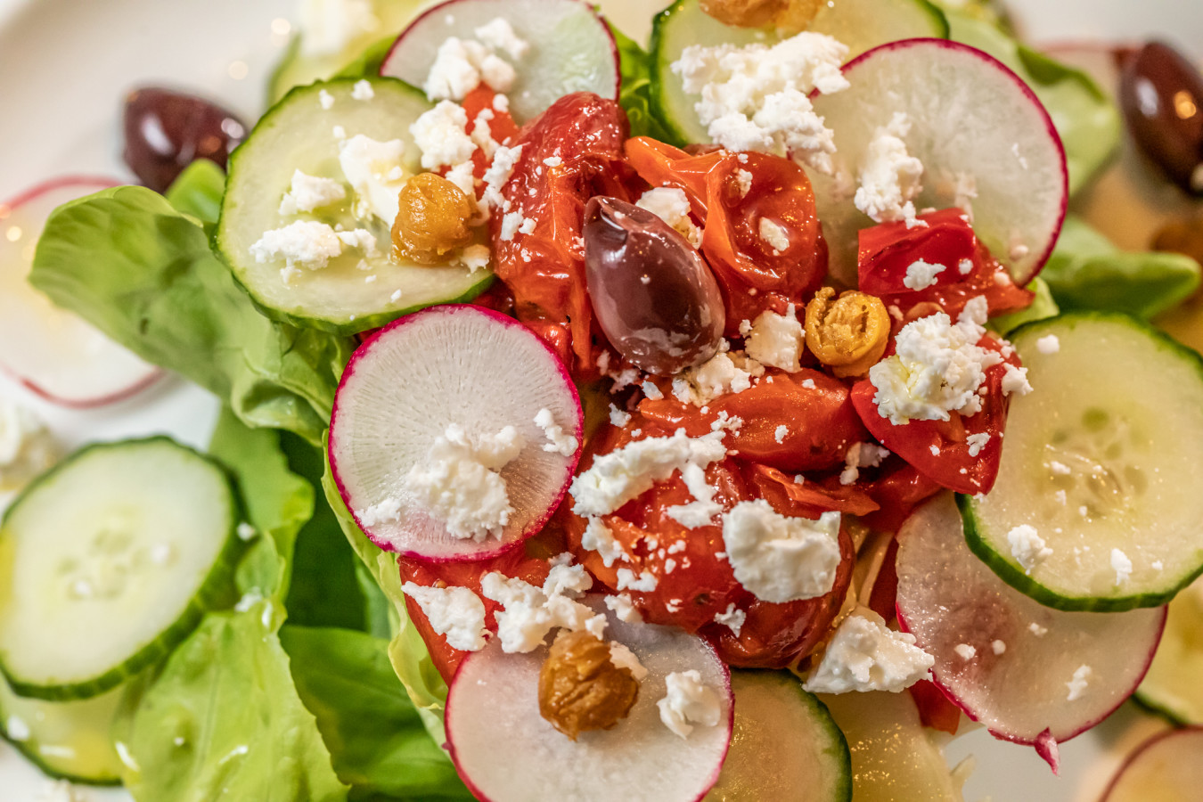 Il River Oyster Bar Grande Miami e Miami Beach