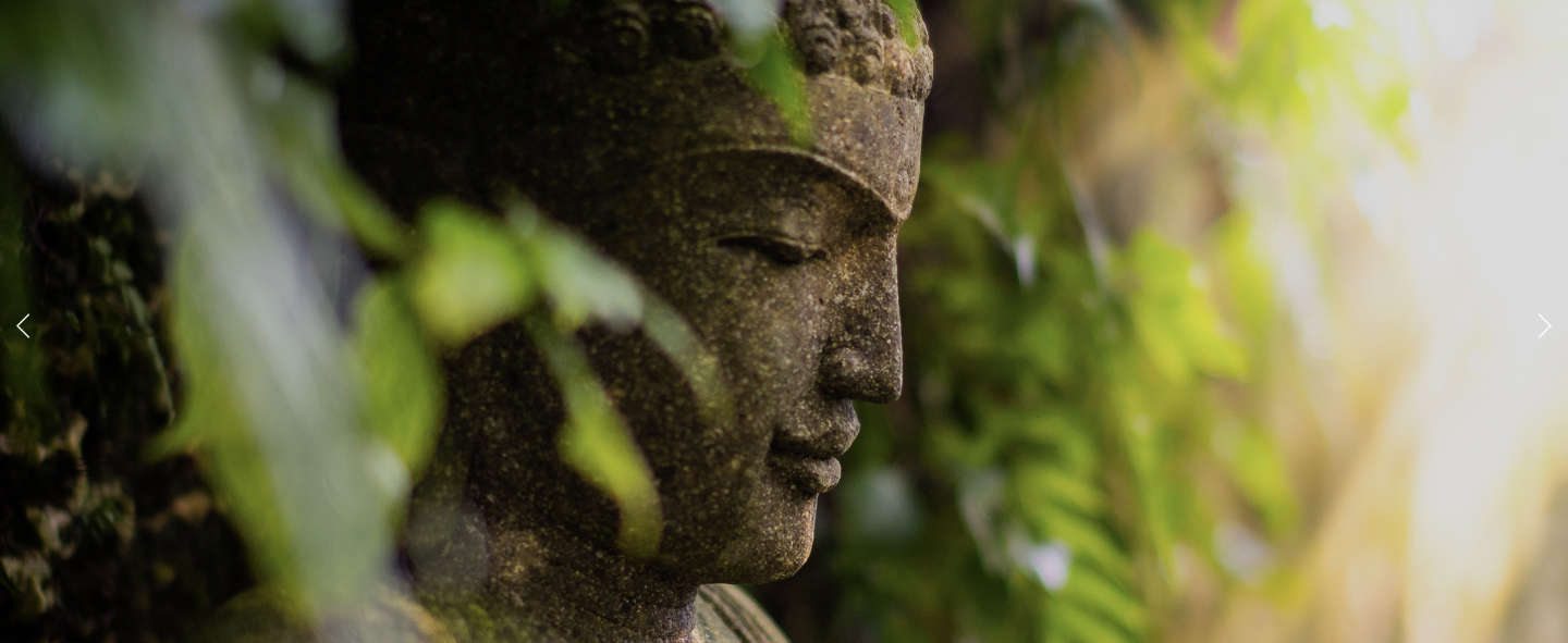 Zen Garden — Patch of Heaven Sanctuary