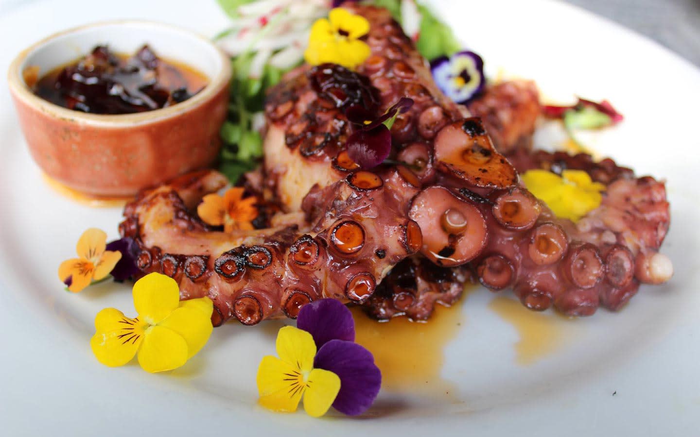 Official image of Talavera Cocina Mexicana