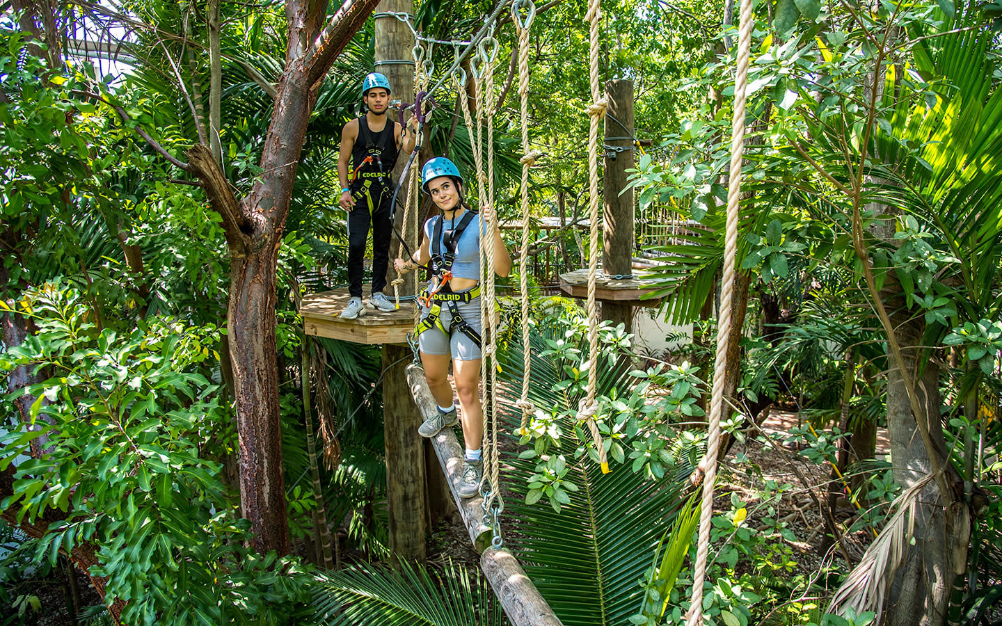 Caminata por las copas de los árboles en Miami | Miami y Miami Beach