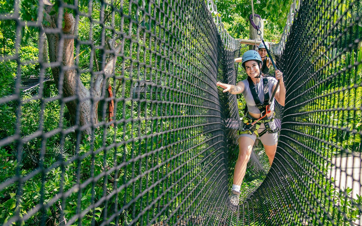 Tree top treking