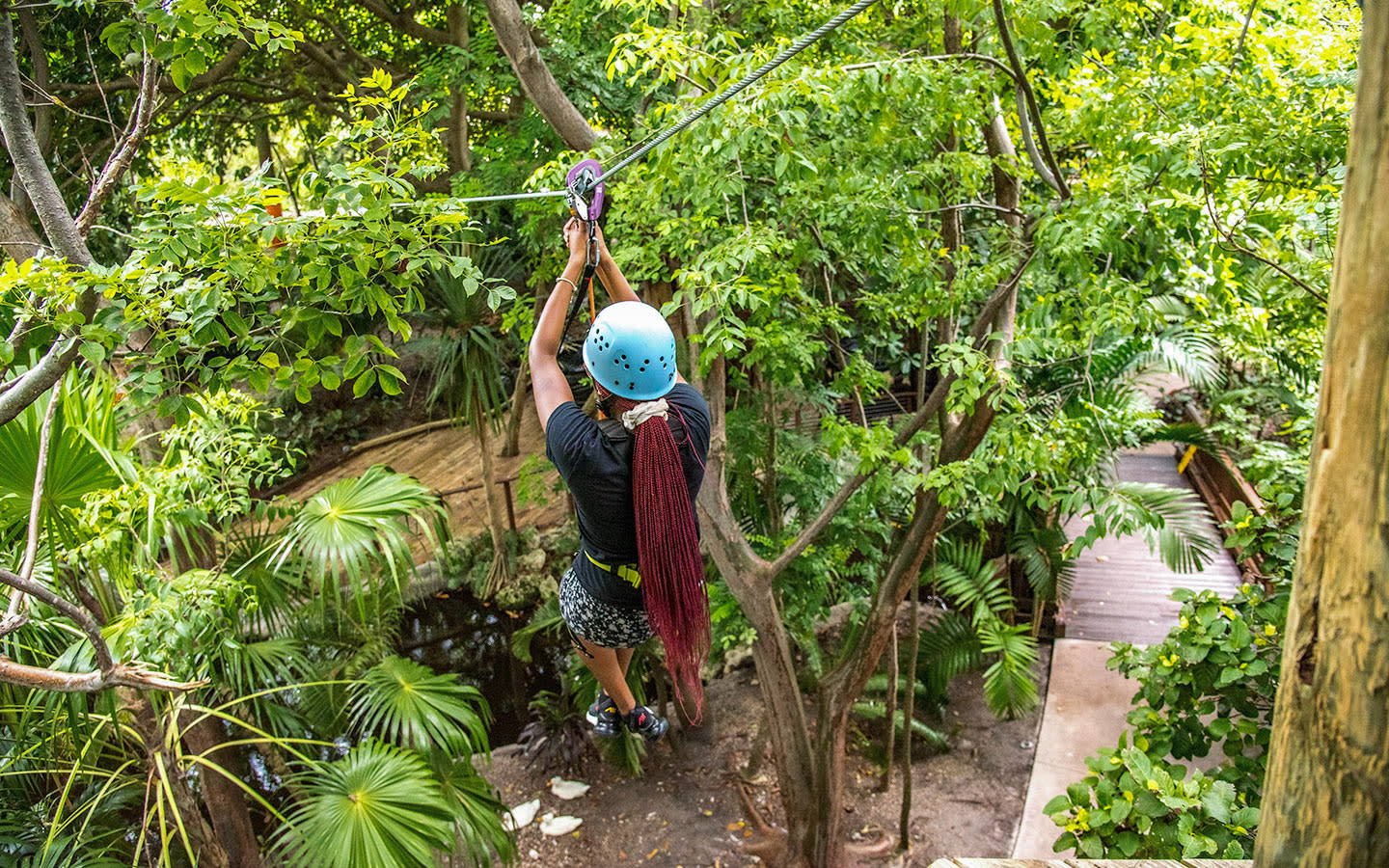 Treetop Trekking Miami Greater Miami & Miami Beach
