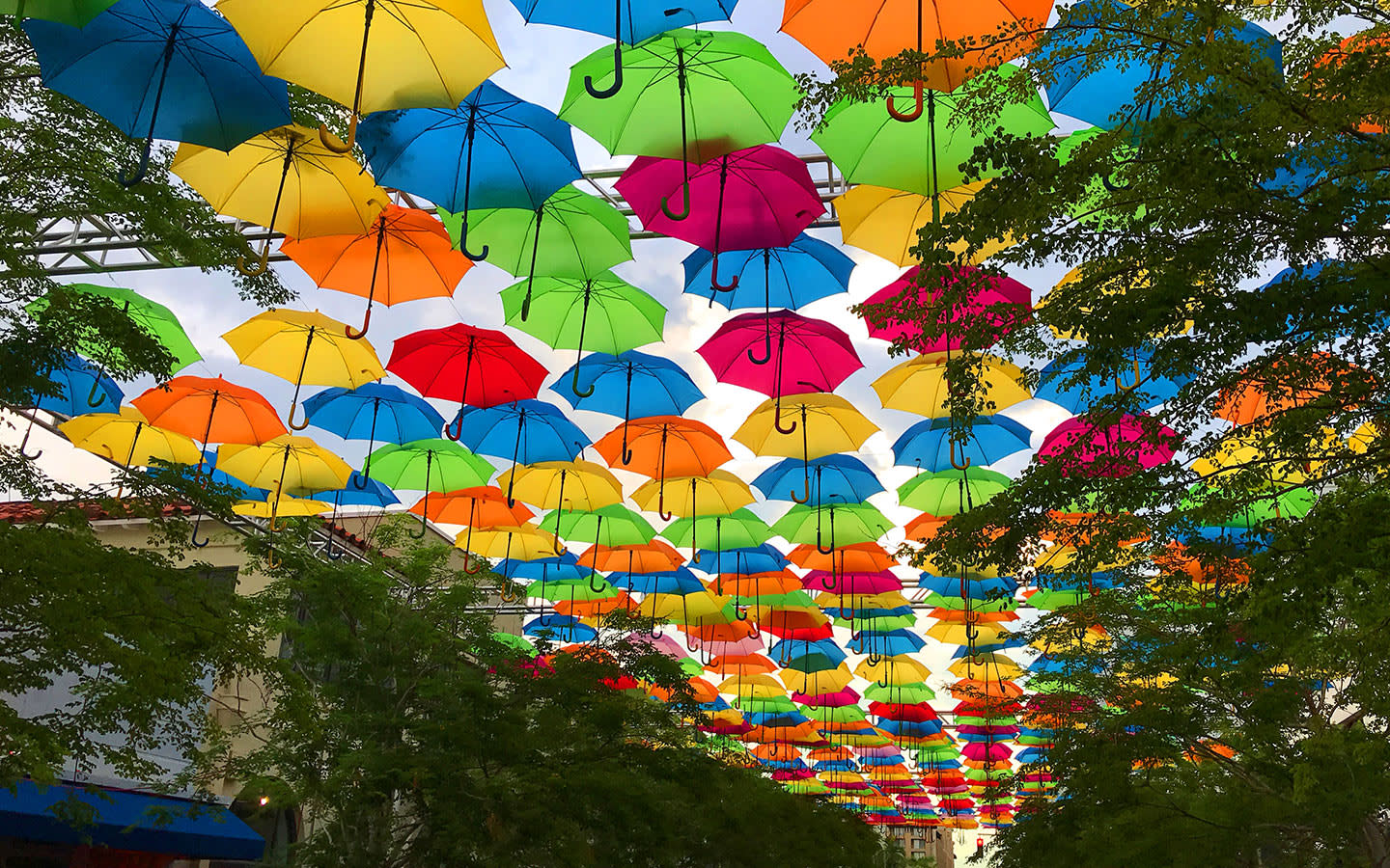 Coral Gables Chamber of Commerce Greater Miami & Miami Beach
