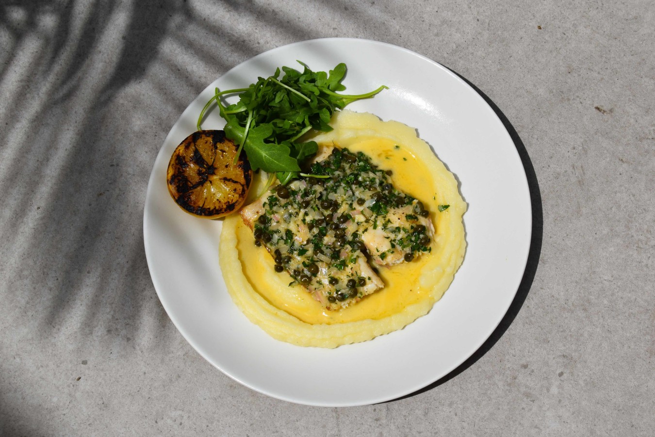 wood roasted cobia menuire - whipped potato, grilled lemon, arugula