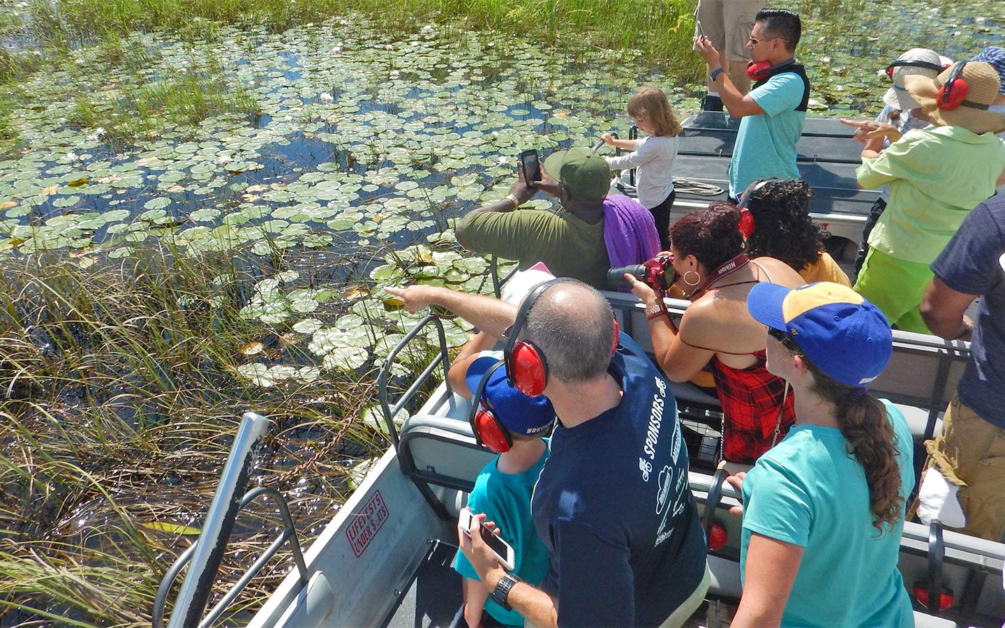 Everglades Swamp Tours in Homestead/Florida City Area, FL