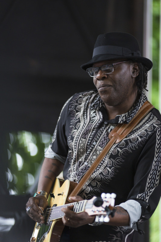 Chicago Blues Festival