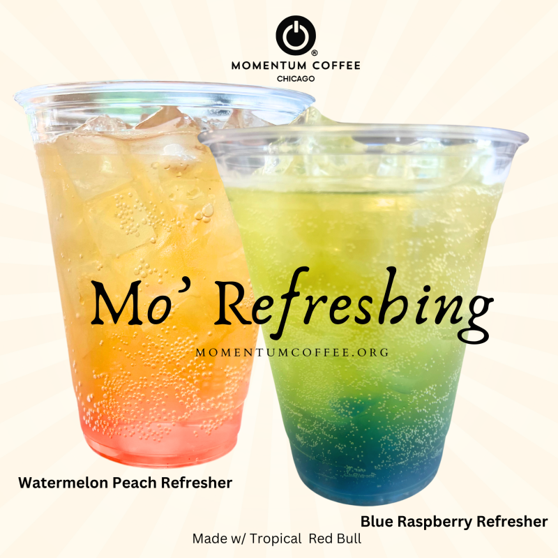 Momentum Refreshers