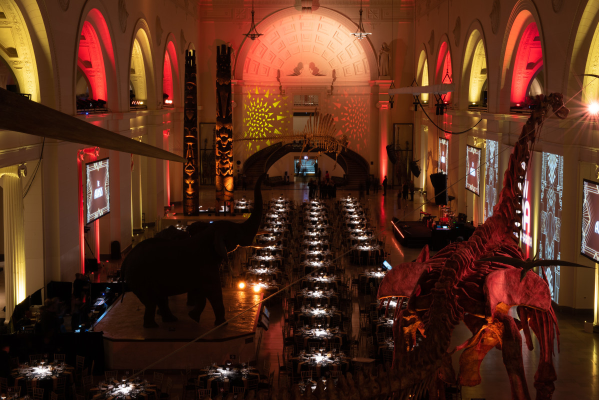 Field Museum Gala