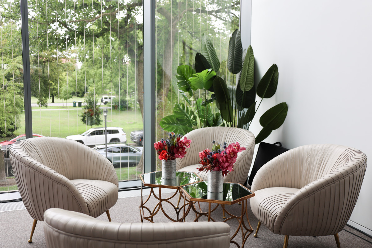 Curated Lounge Space