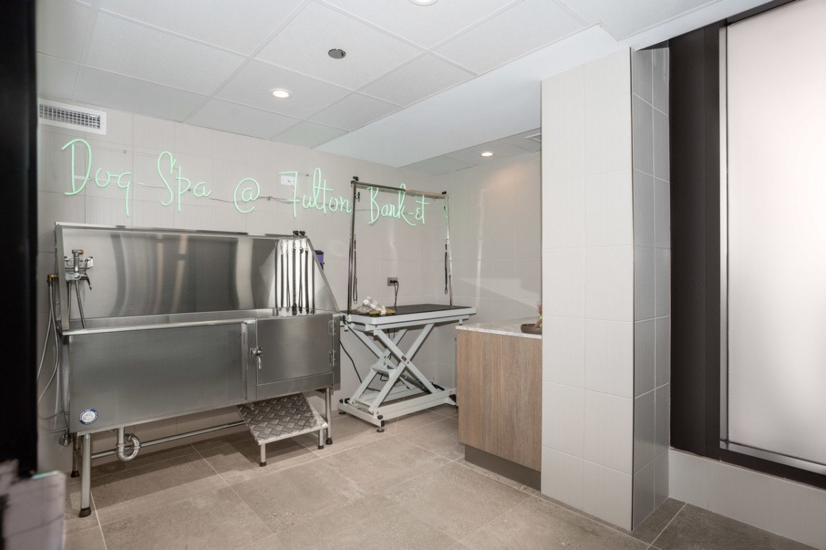 Level Chicago - Pet Spa