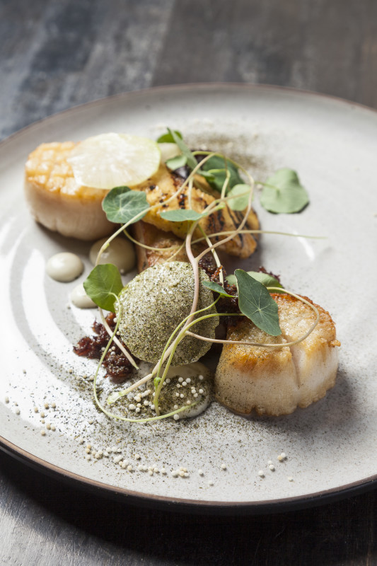Scallops