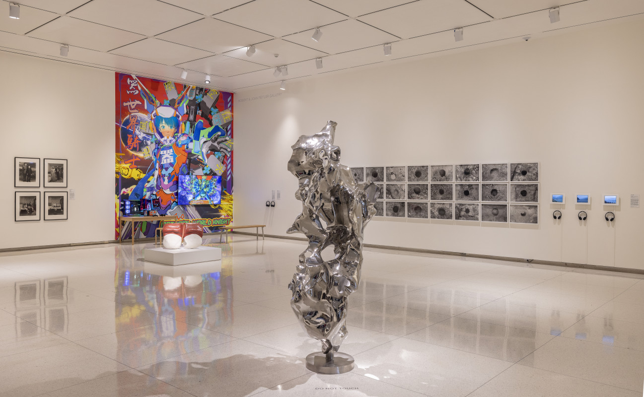 Installation View, "Beyond Boundaries," Photo by Michael Tropea.