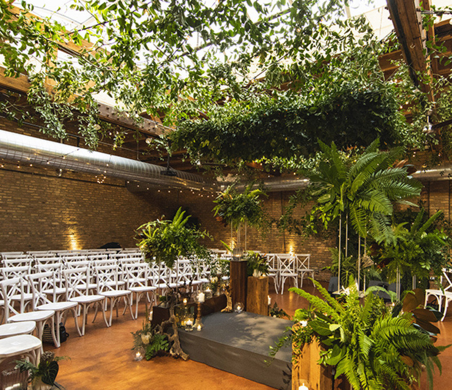 Greenery + Natural Light