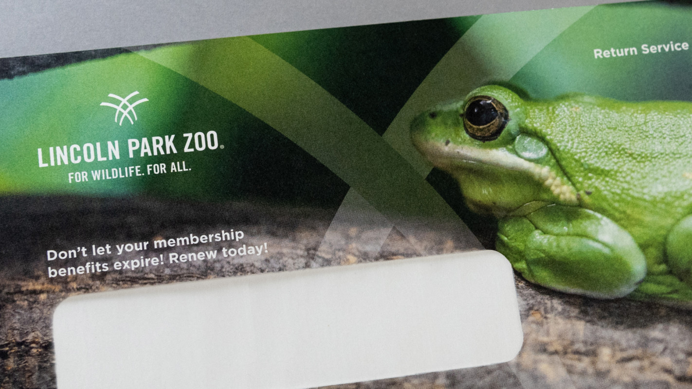 Lincoln Park Zoo Envelope With Window