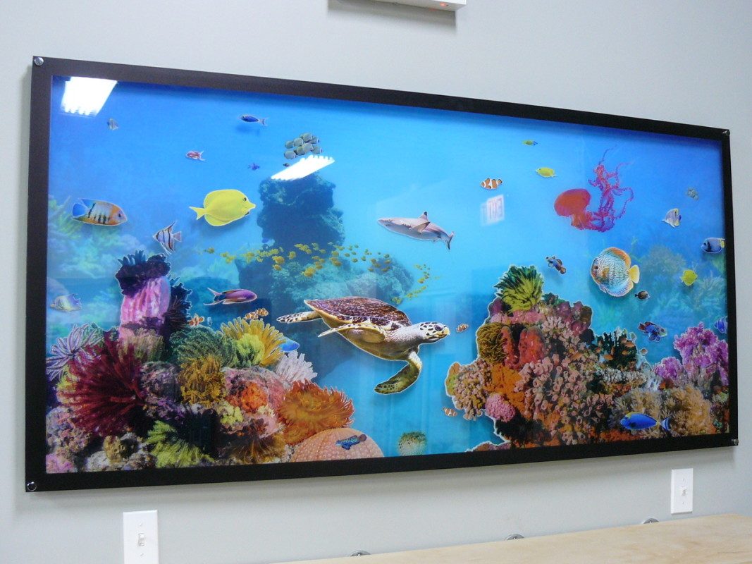 Acrylic Fishtank