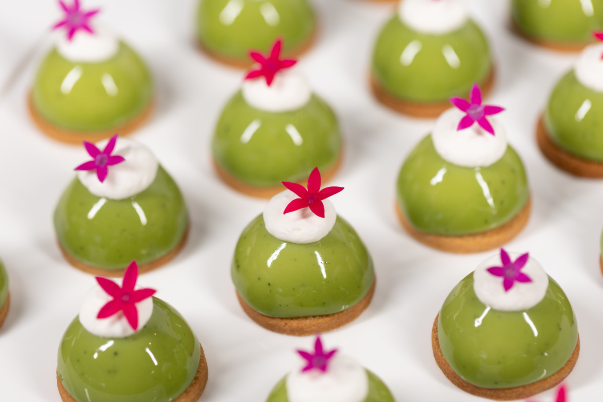 Mini Matcha Cheesecake