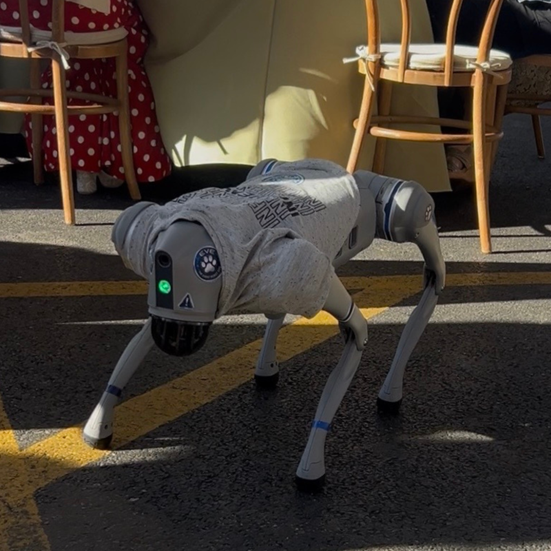 Eve