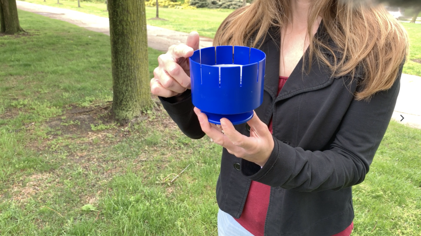 Zoetrope Demo