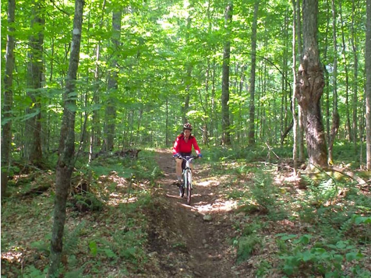 Minnesing Mountain Bike Trail Discover Muskoka Plan Your Trip
