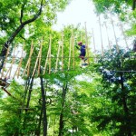 Aerial Park at West Mtn.