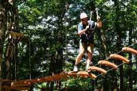 Aerial Adventure Treetop Park