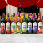 Adirondack Winery Wines