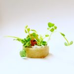 Photo of Wasabi Beach Sushi & Kitchen