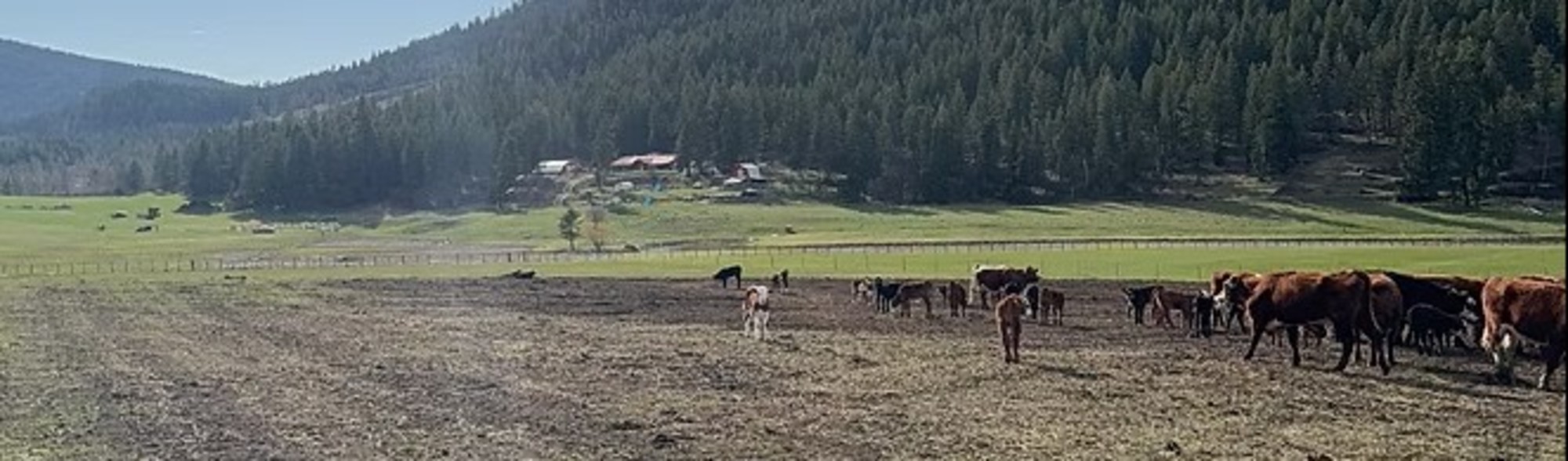 4D Creek Ranch-header