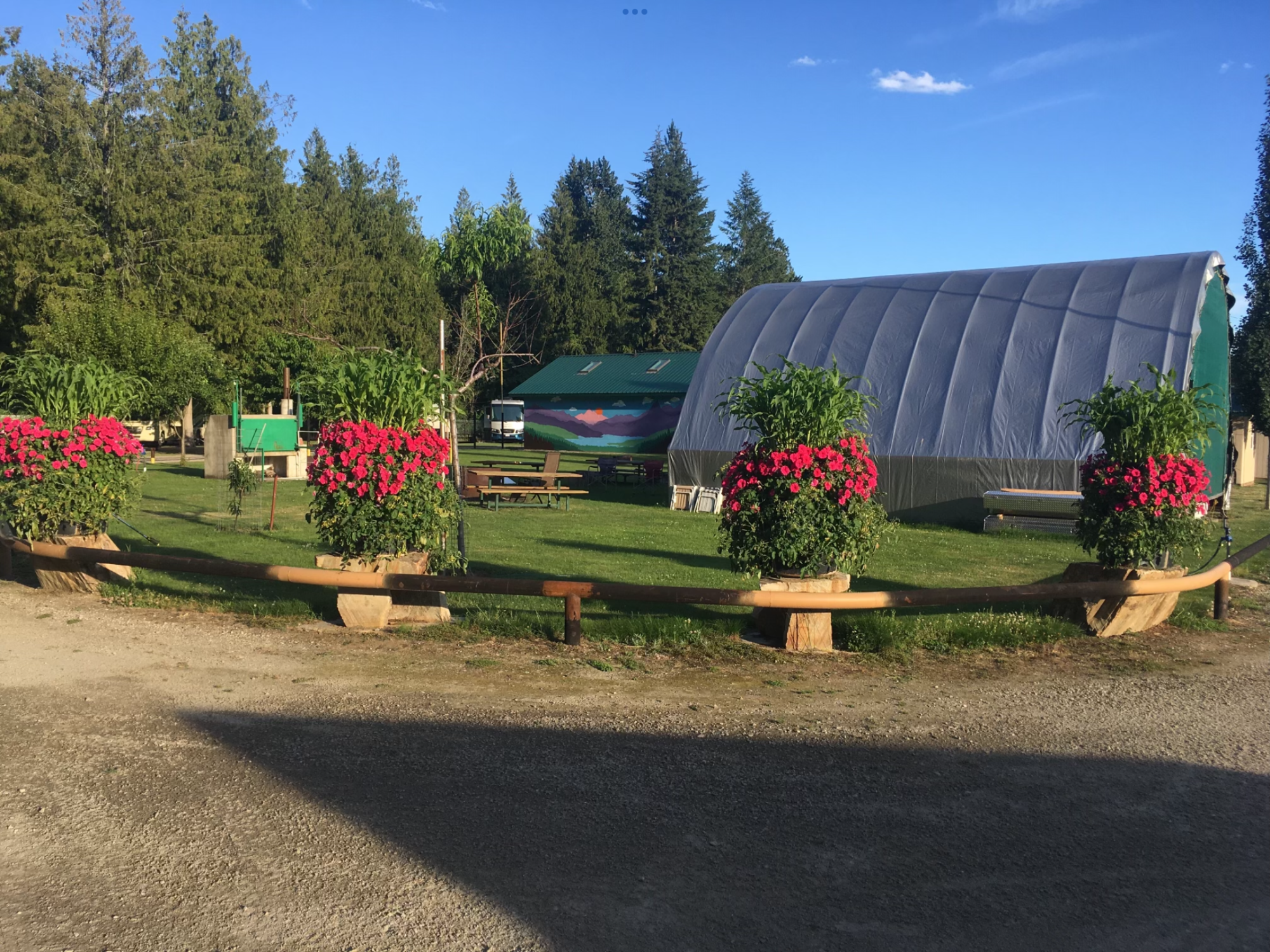 Crawford-bay-barrel-planters
