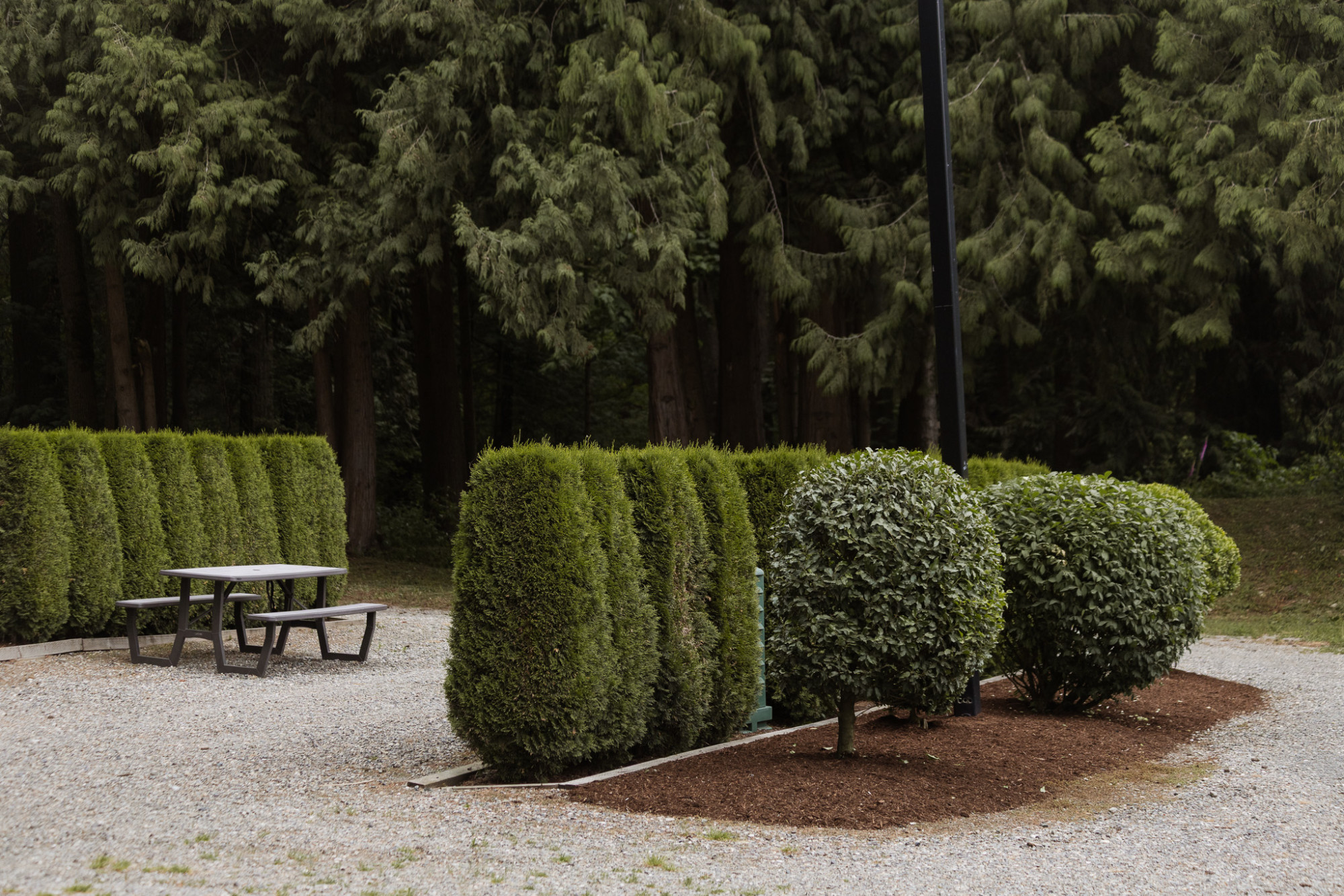 Sandpiper Resort Header