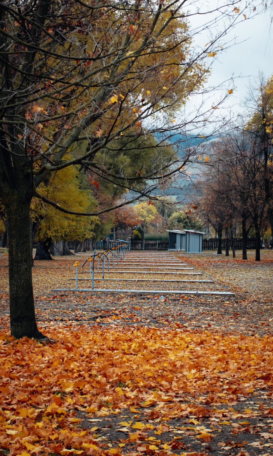 Sandy-beach-campground-2024-fall-rv-sites