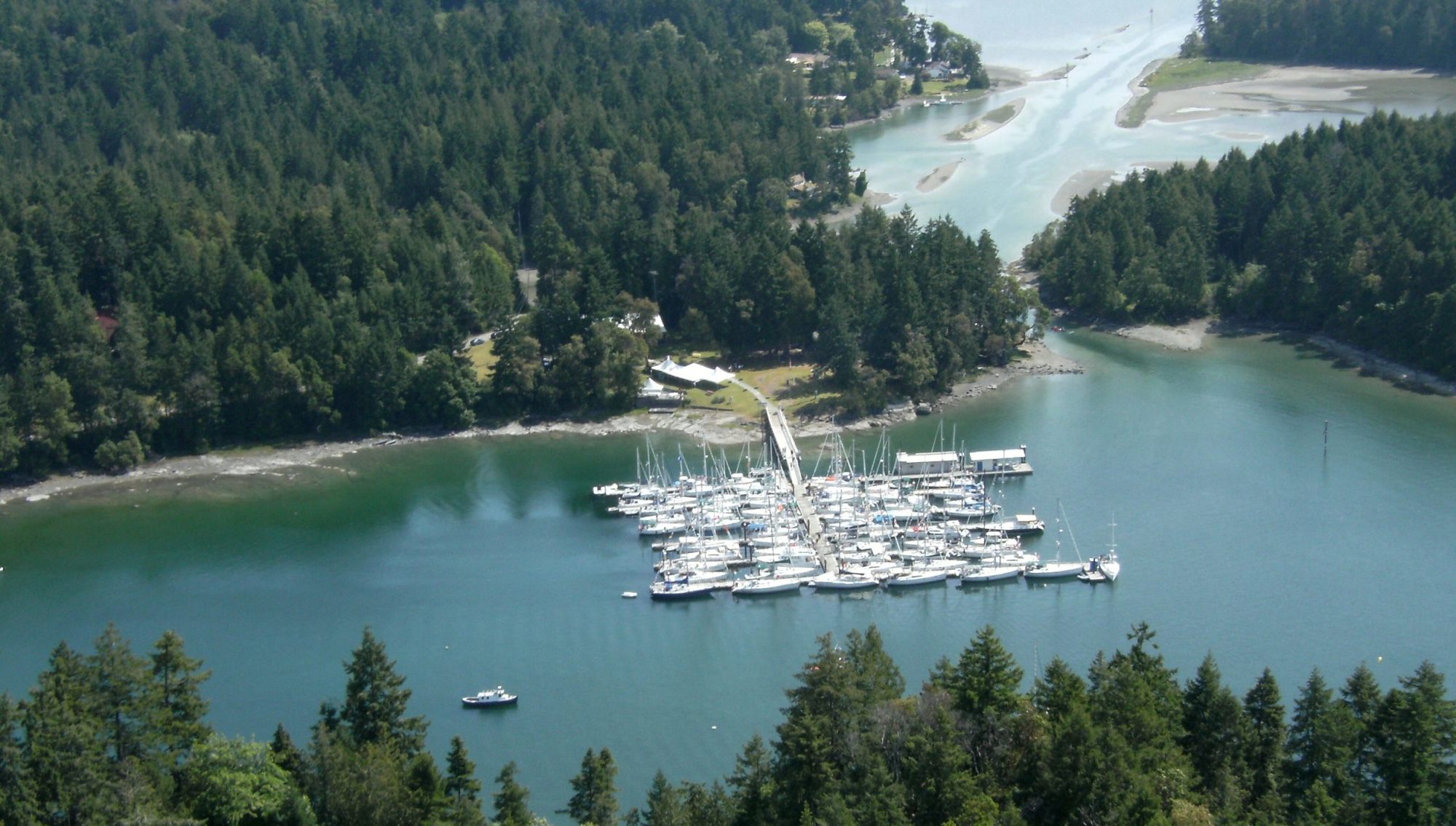 Telegraph-harbour-marina-from-above