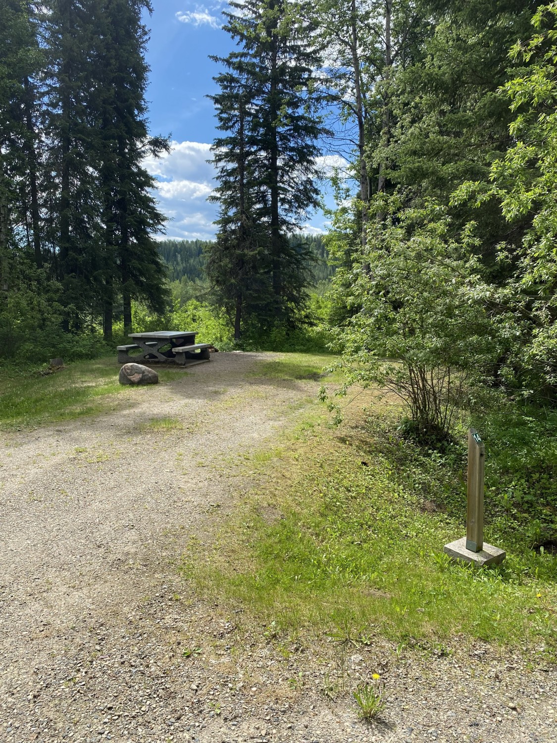 Tetsa-River-Regional-Campground-site