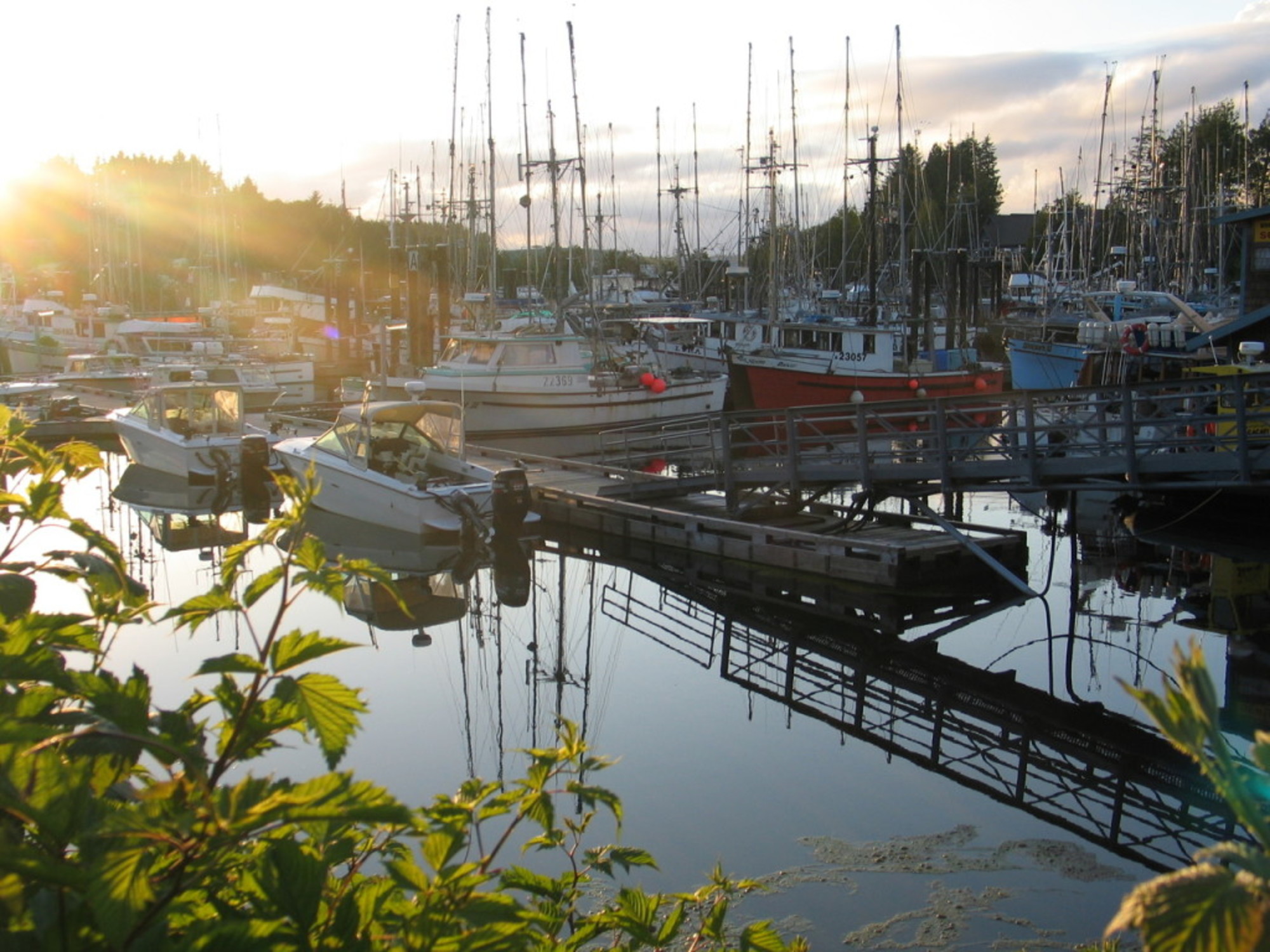 West Coast Motel on the Harbour