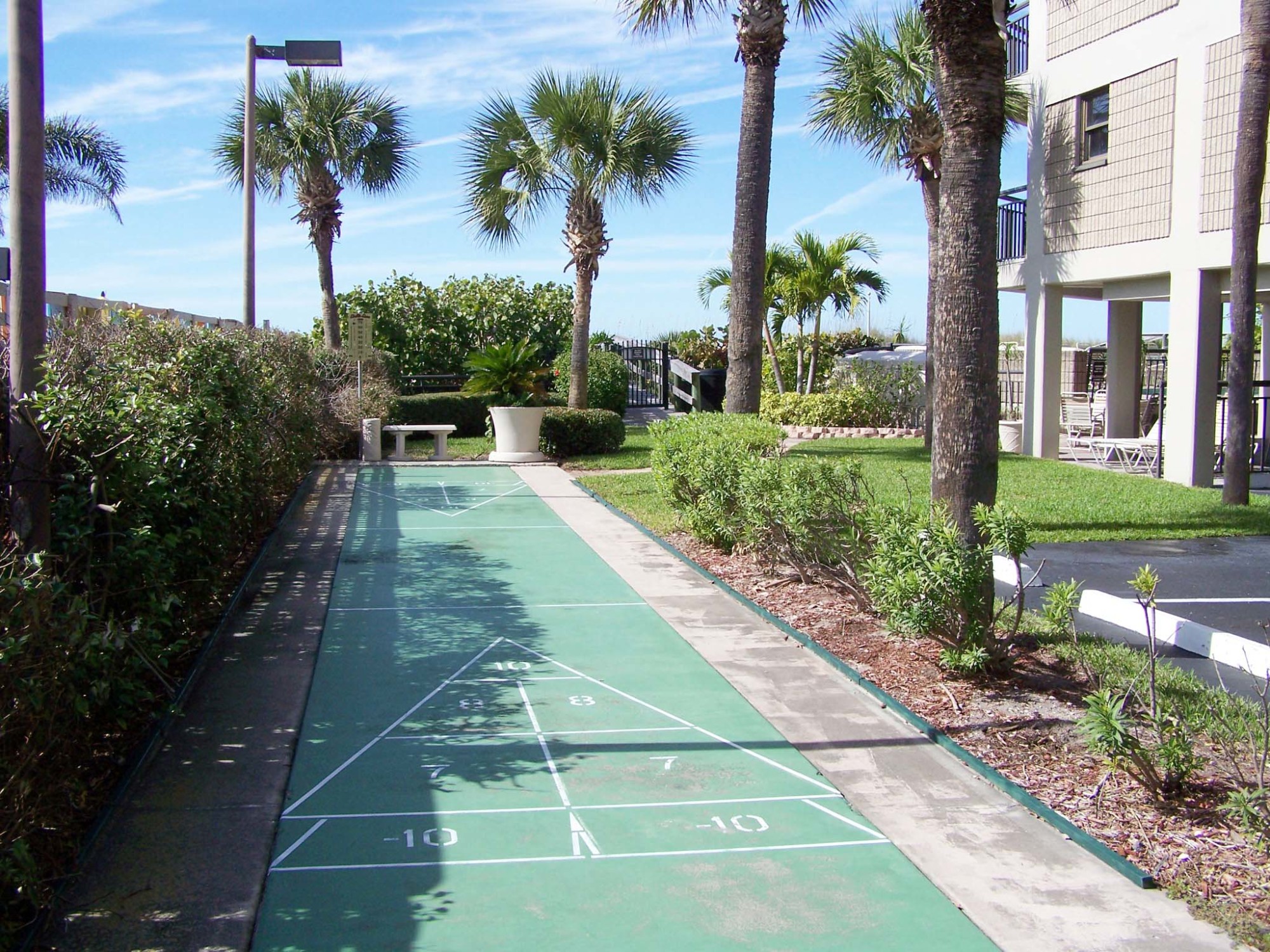 Shuffleboard Court