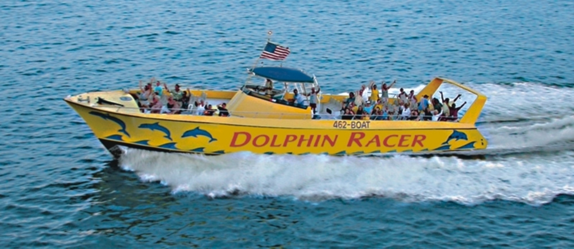 Dolphin Racer
