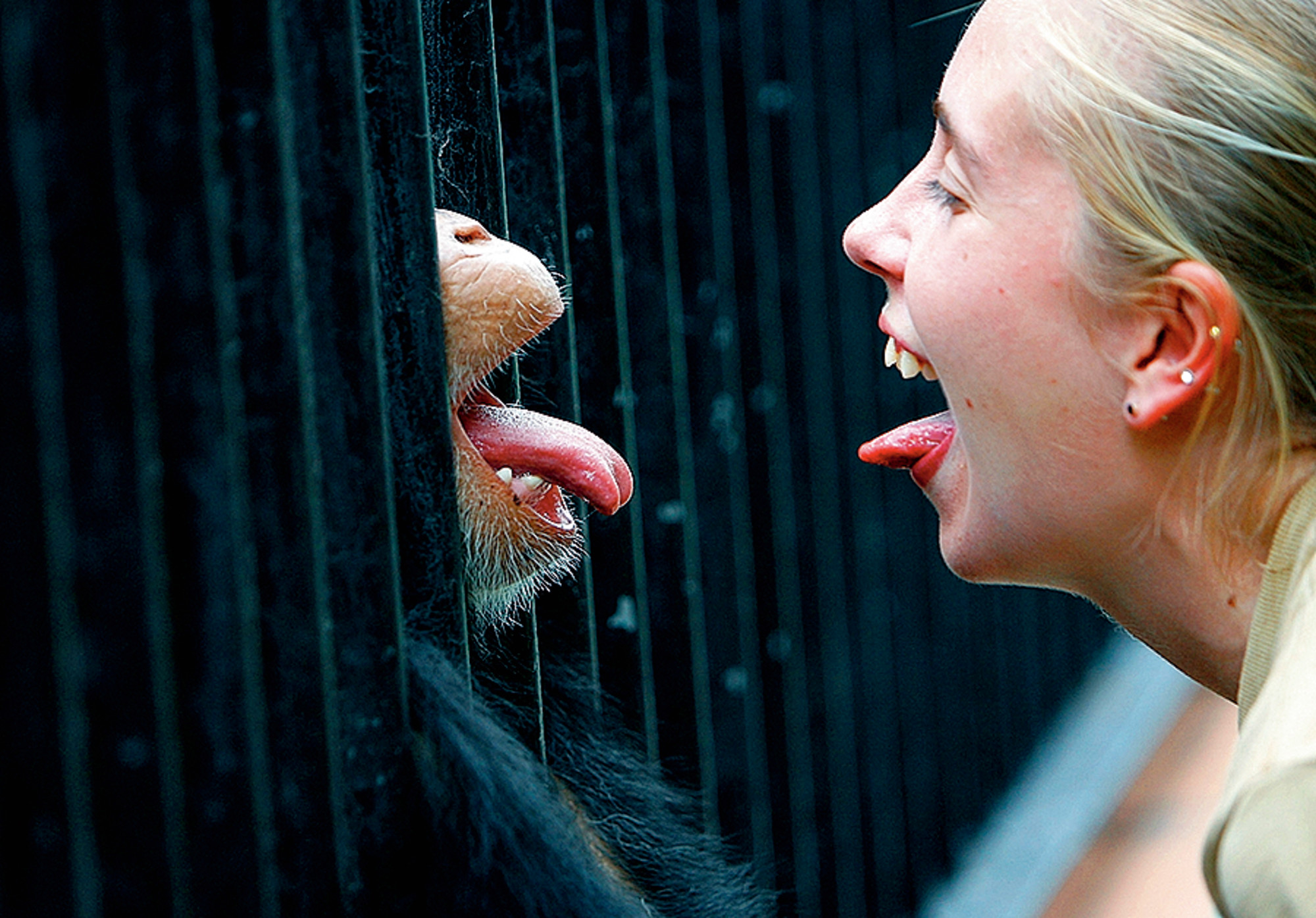 Suncoast Primate Sanctuary