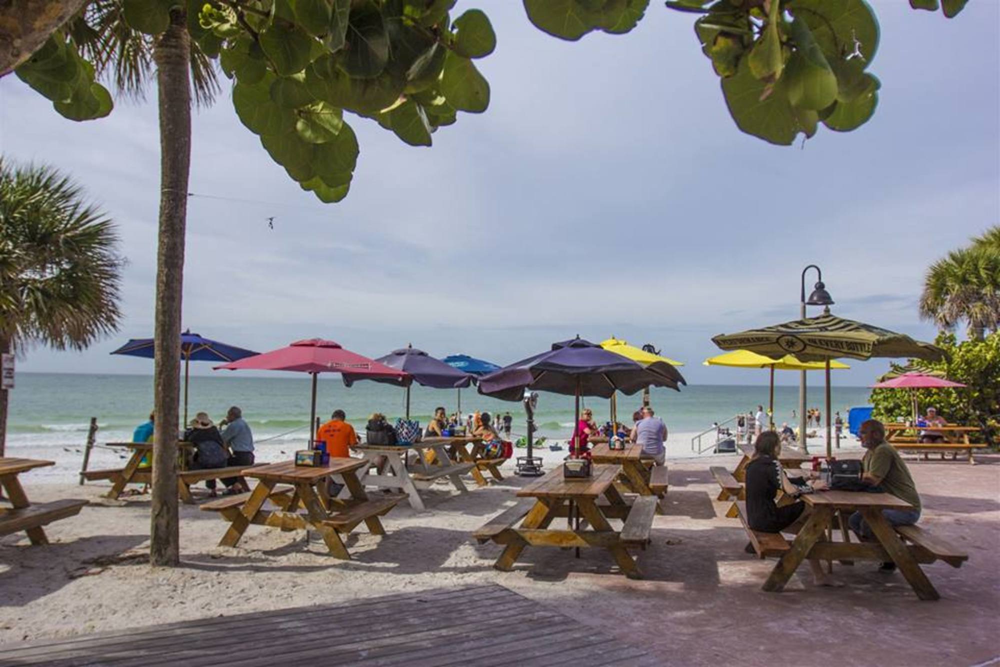 Paradise Grille