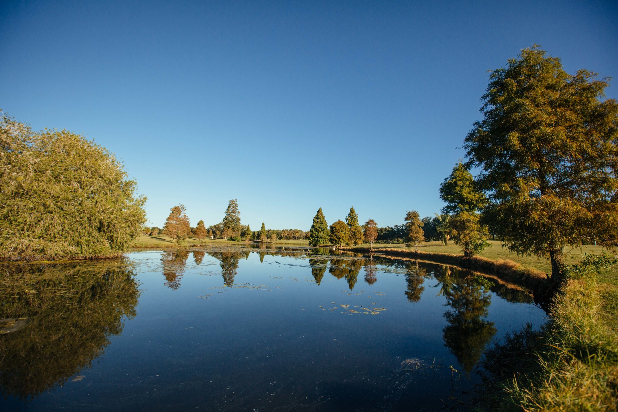 Mangrove Bay Golf Course