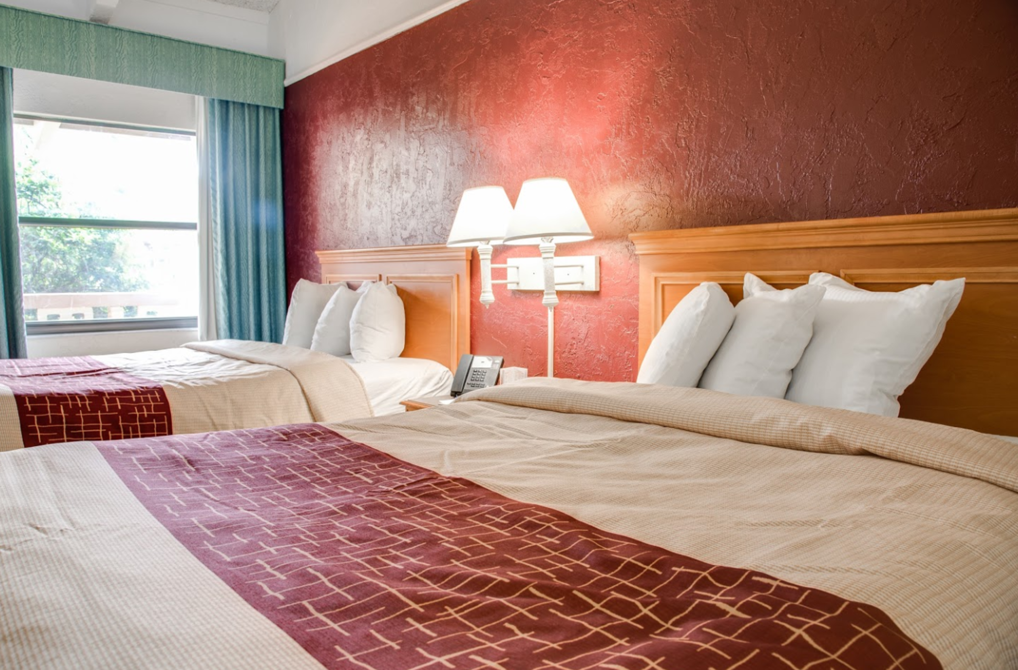 Red Roof Inn - Tampa Bay - St. Petersburg
