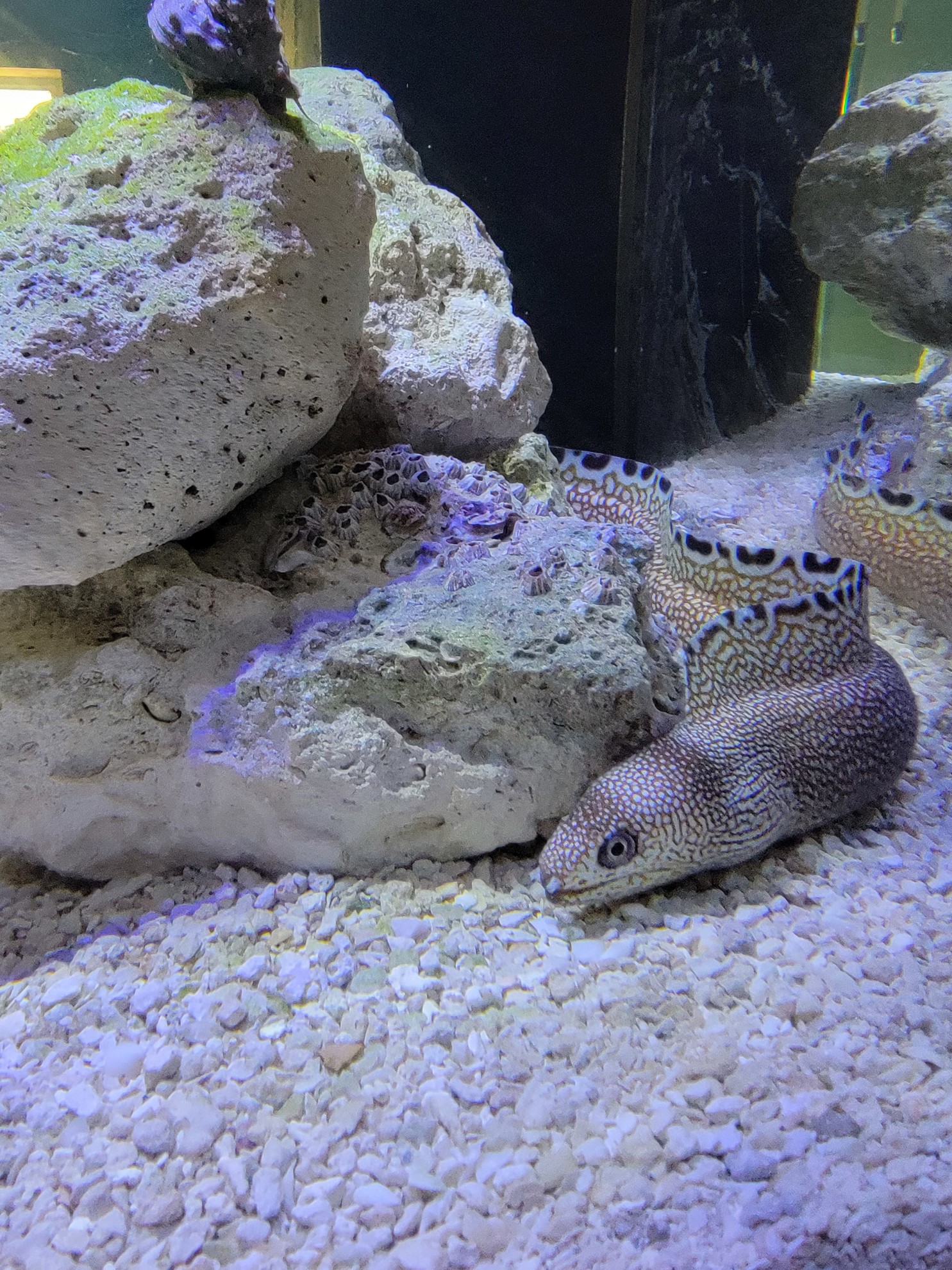 Eco-Discovery Center