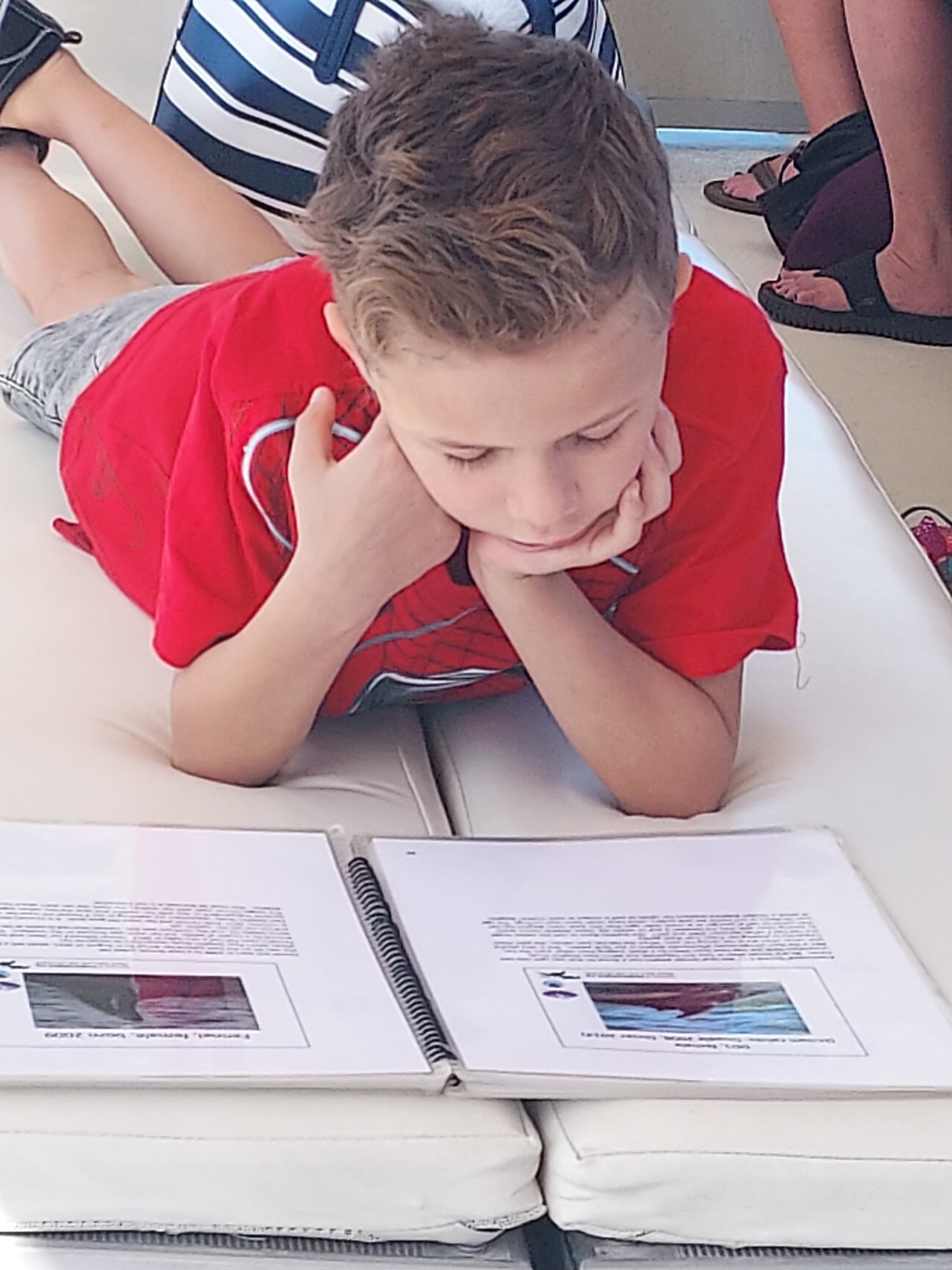 Fin Book