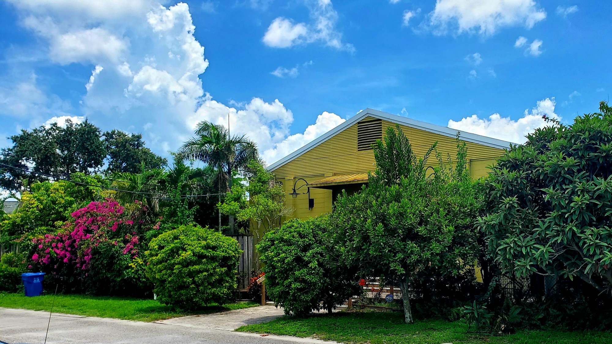 The Duncan McClellan Gallery