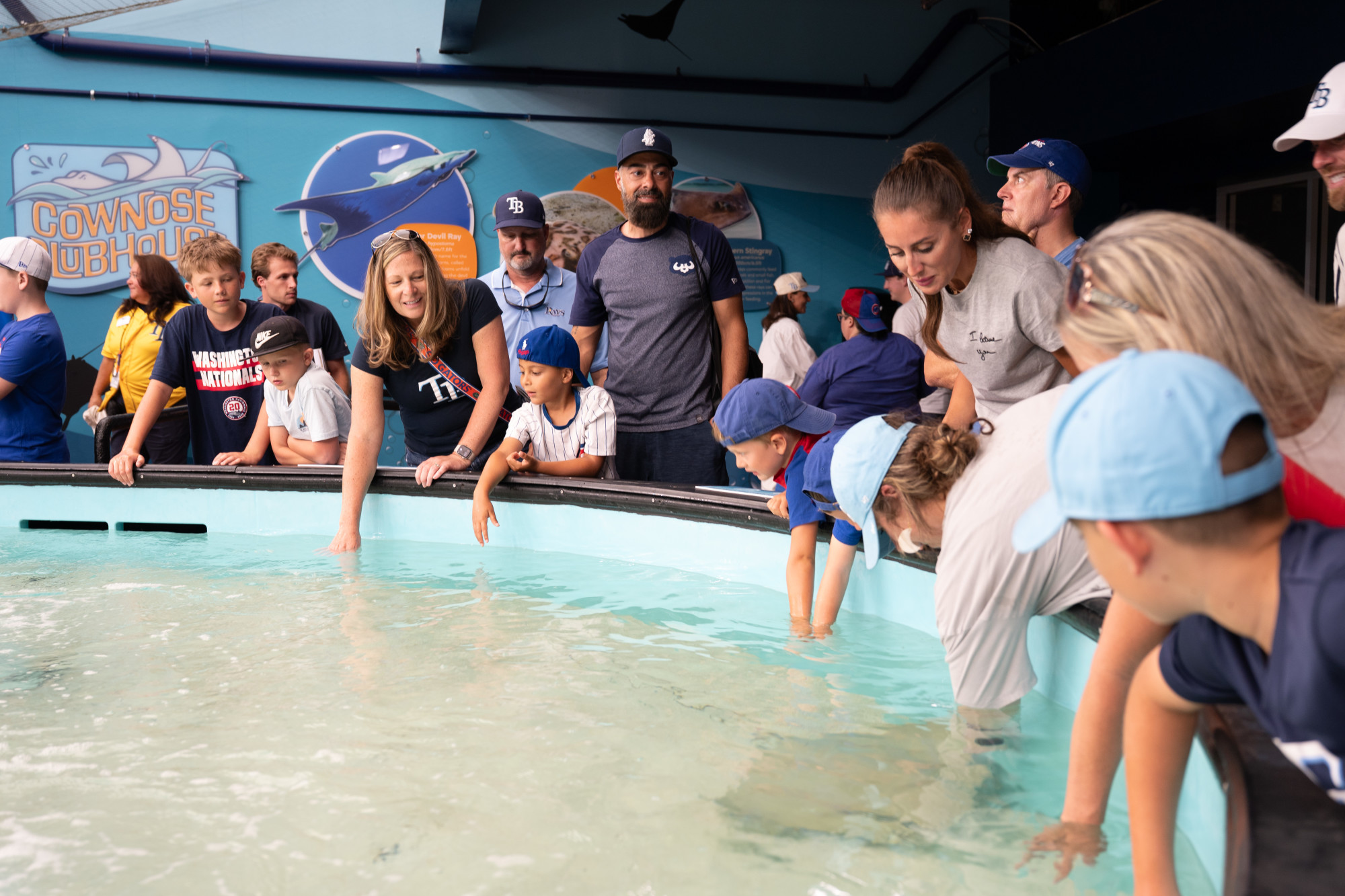 2026 Tampa Bay Rays