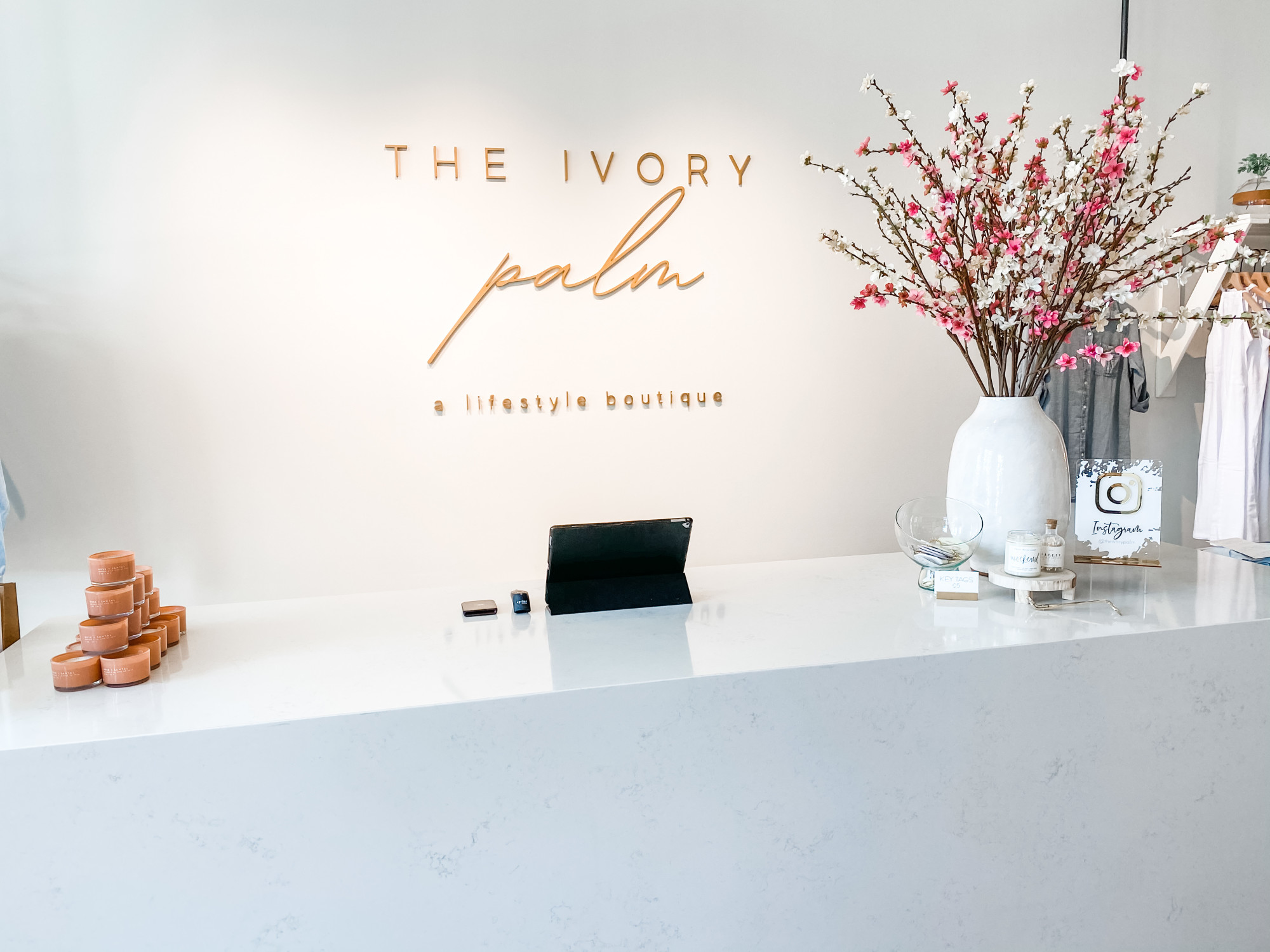 The Ivory Palm